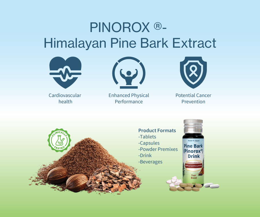 900-x-750-PINOROX-®--Himalayan-Pine-Bark-Extract (2)